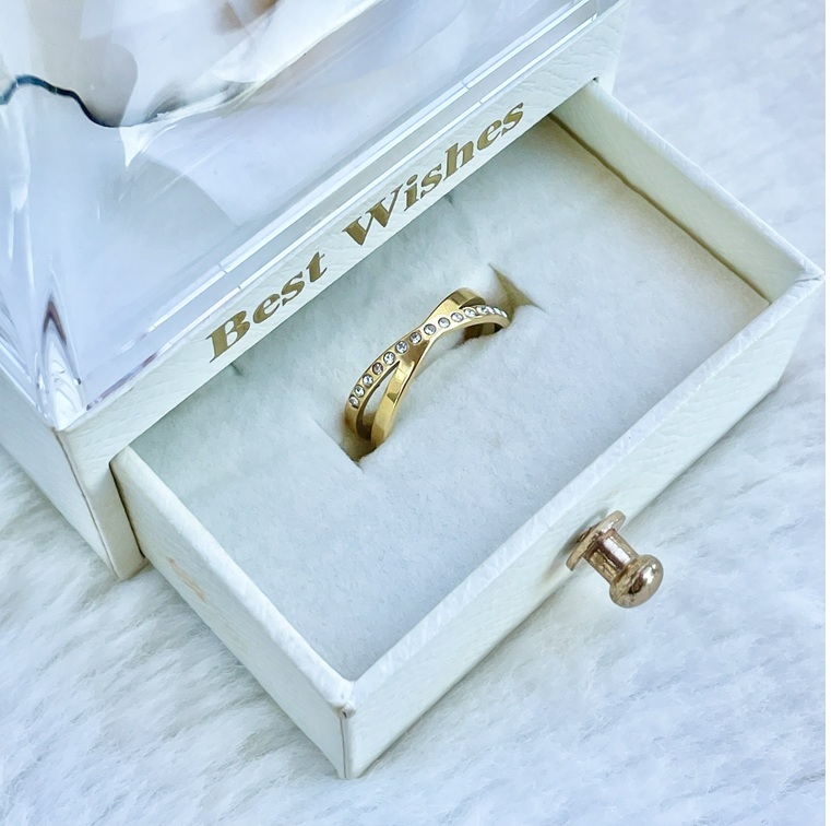 ANILLO 1