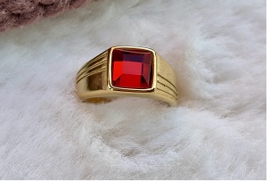 ANILLO 2