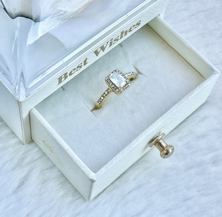 ANILLO 2