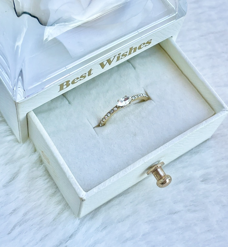 ANILLO 3