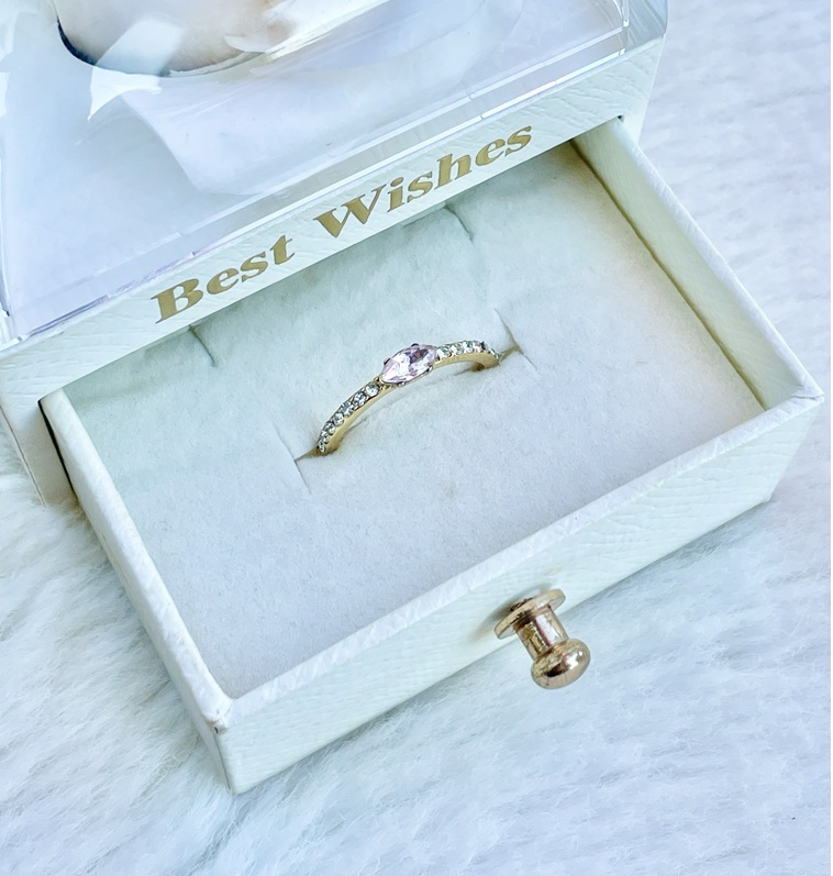 ANILLO 4