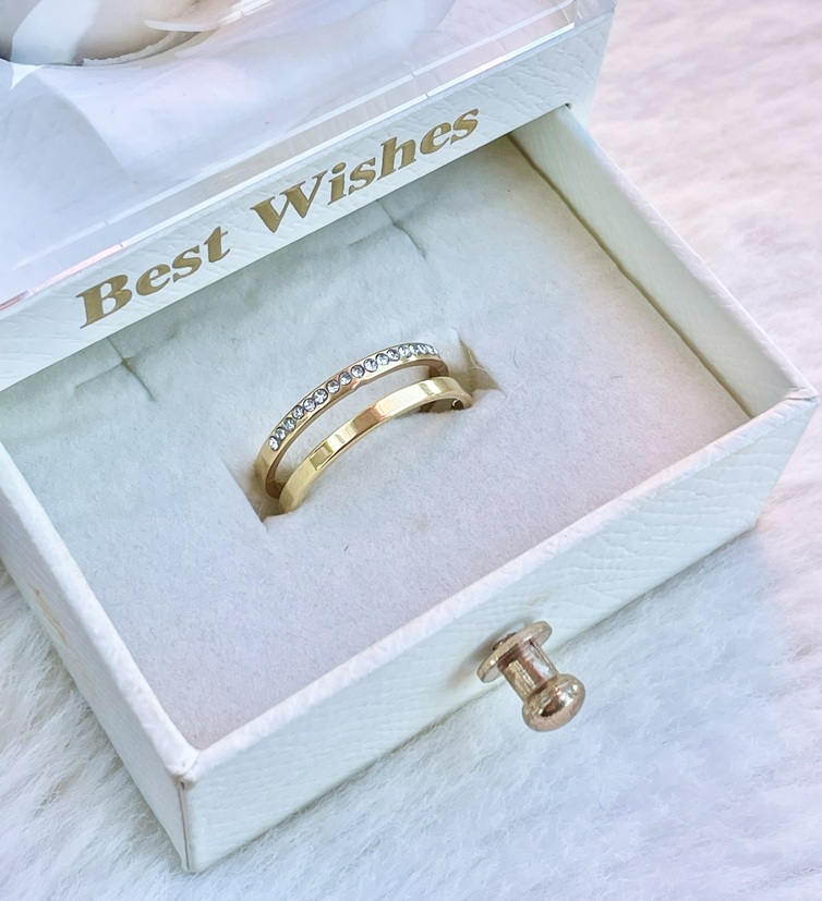 ANILLO 6