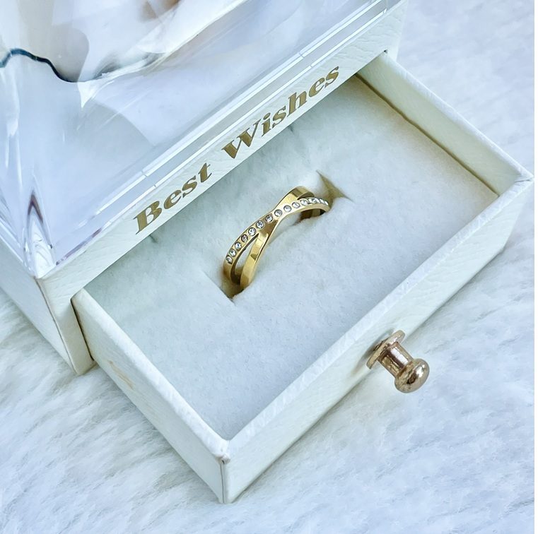 ANILLO 1